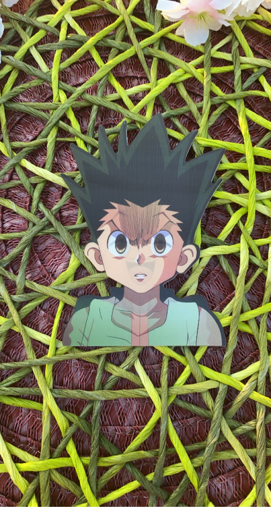 Gon- HunterxHunter Custom Peaker