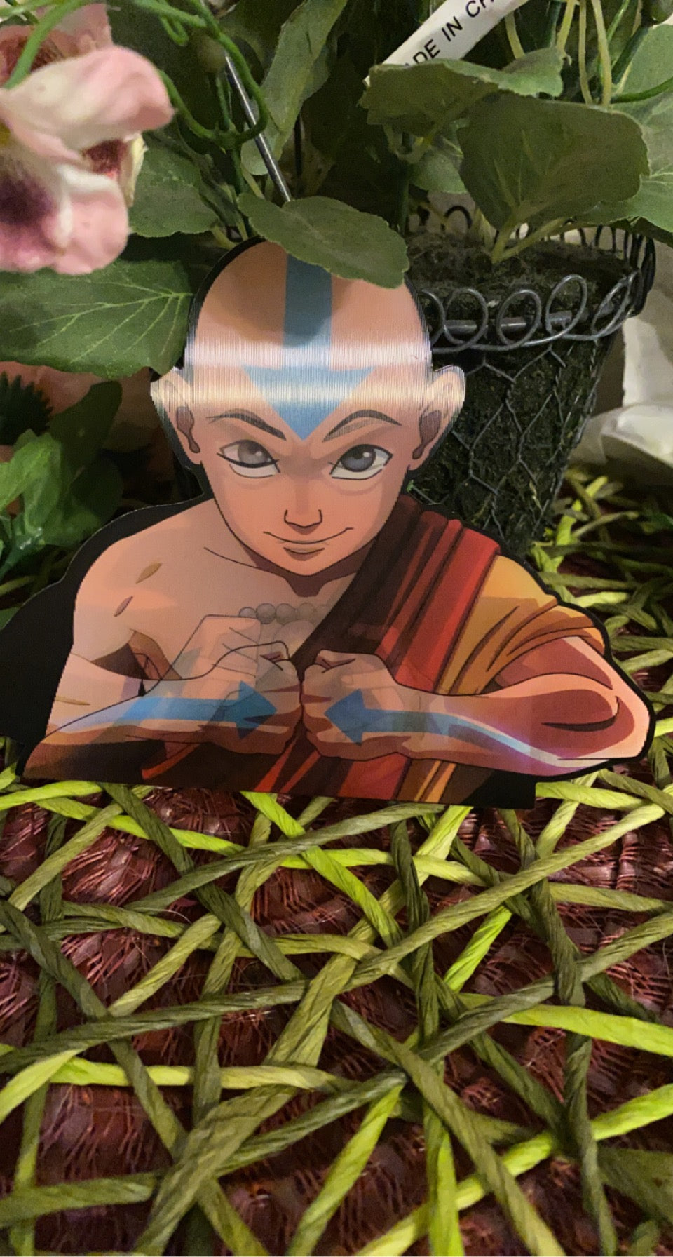 “Aang”- Avatar Last Airbender Decal